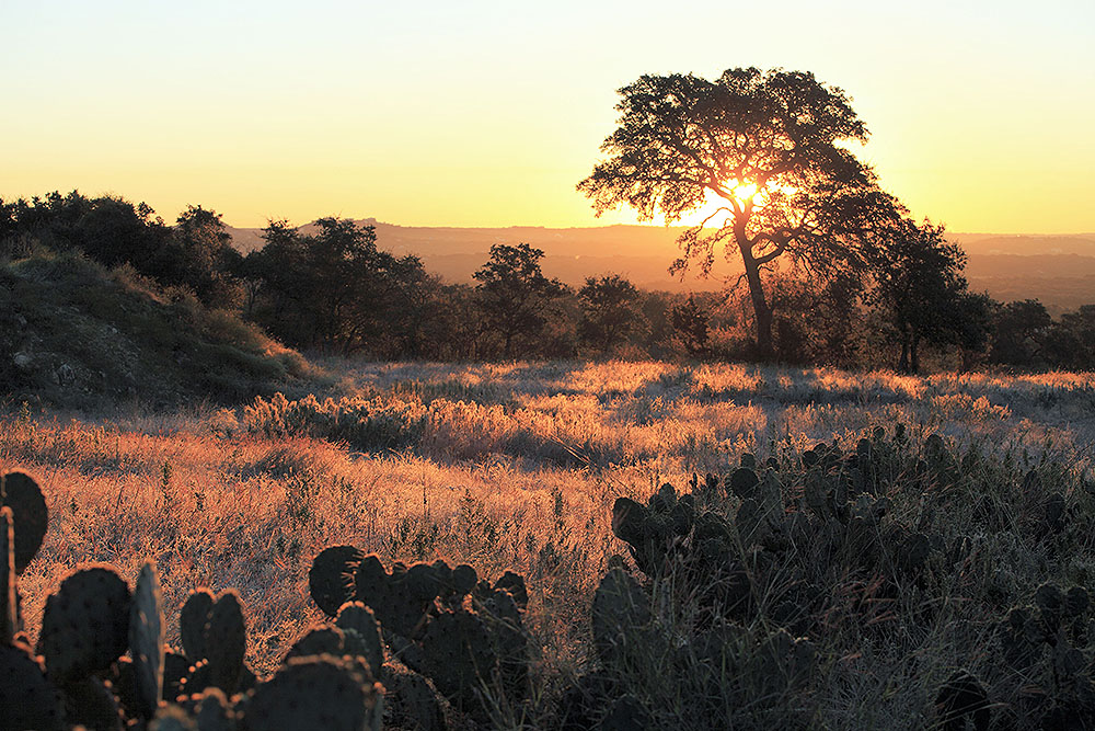 Winter Morning Comal County_151123_4079
